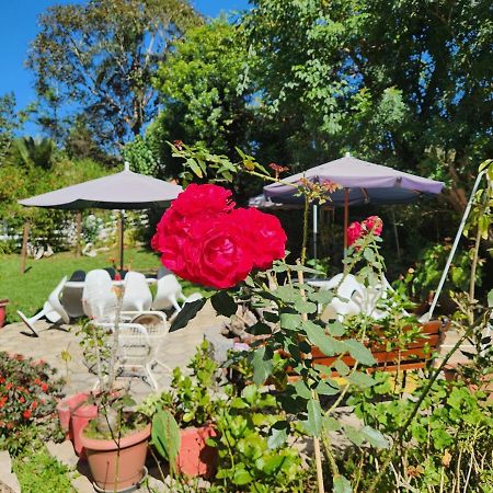 Kitnet No Sul De Minas Villa Soledade de Minas Bagian luar foto